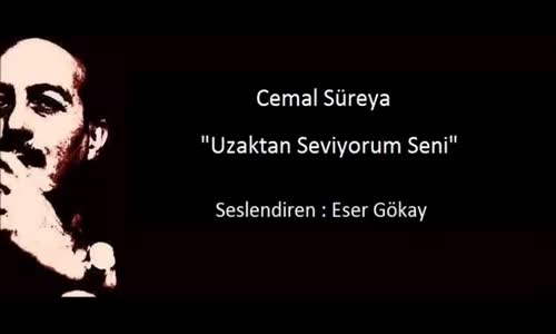 Cemal Süreya Uzaktan Seviyorum Seni