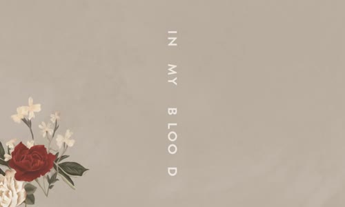 Shawn Mendes - In My Blood