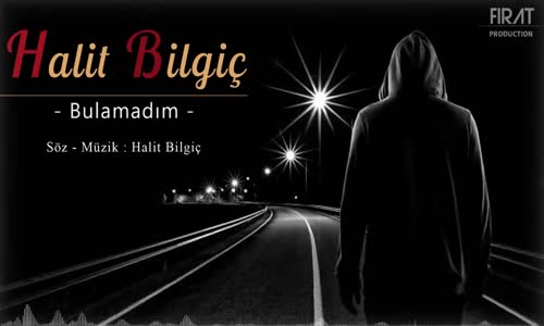 Halit Bilgiç - Bulamadım ( 2021 ) YENİ