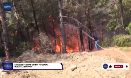 Köyceğiz'de çıkan orman yangınına müdahale sürüyor