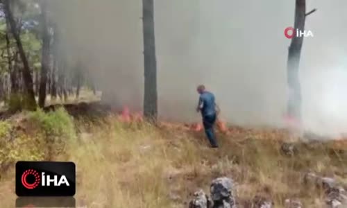 Çalıyı çırpıyı alan köylüler yangına koştu, kadınlar traktör ile su taşıdı 