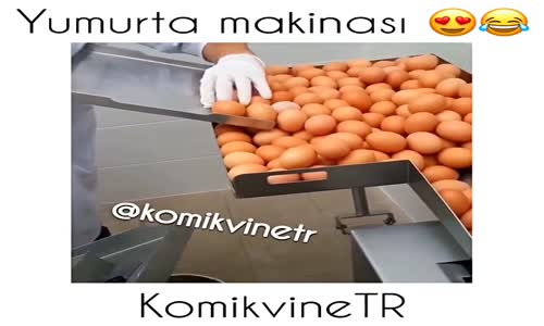 Yumurta Makinası