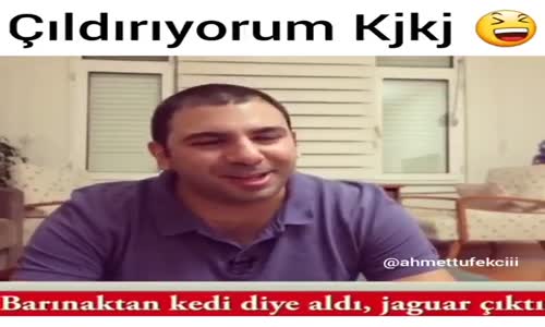 Barınaktan Kedi Diye Aldı Jaguar Çıktı 