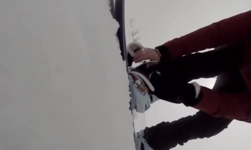 Snowboard yaparken ayıyı fark etmedi !