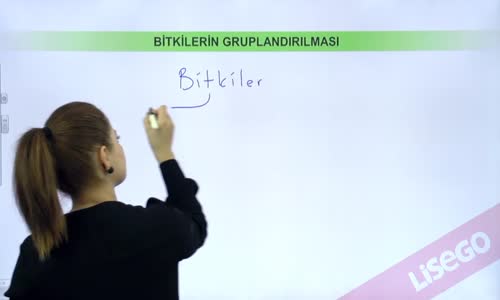 EBA BİYOLOJİ LİSE - CANLILARIN SINIFLANDIRILMASI VE CANLI ALEMLERİ - BİTKİLER ALEMİ - DAMARSIZ TOHUMSUZ VE DAMARLI TOHUMSUZ BİTKİLER