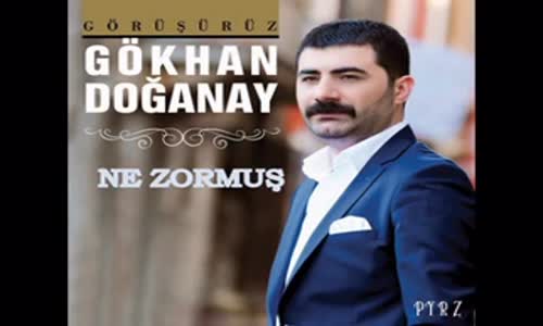 Gökhan Doğanay  Ne Zormuş 