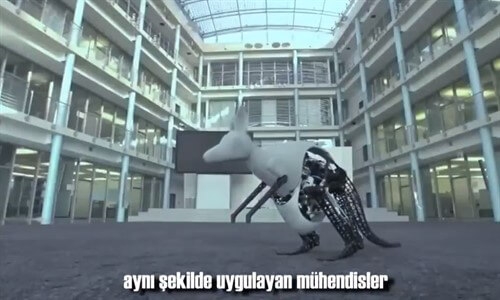 Dünyanın En Gelişmiş 10 Robotu