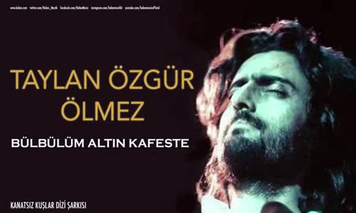 Taylan Özgür Ölmez - Bülbülüm Altın Kafeste 