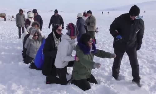 Donan Çıldır Gölünde Timsah Yürüyüşü