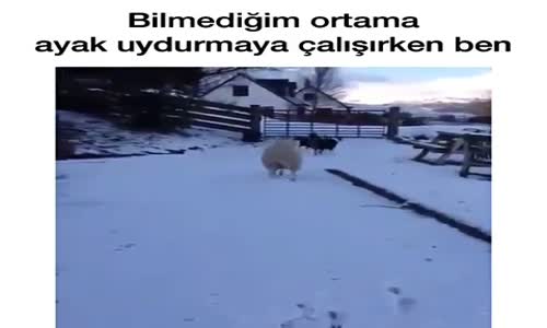 Bilmediğiniz Ortamlarda Ayak Uydurmaya Çalıştığınız Zaman