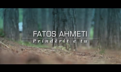 Fatos Ahmeti - Prinderit E Tu