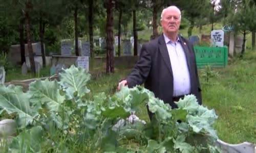 Merhum Çok Seviyordu Diye Mezarına Karalahana Ekmek