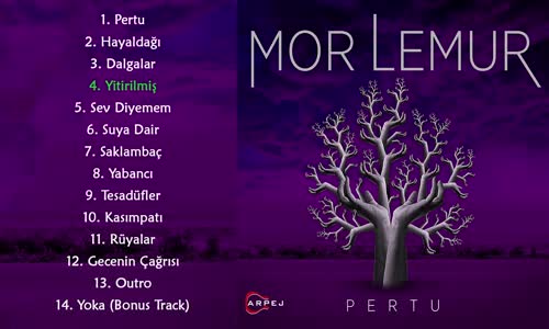 Mor Lemur - Yitirilmiş