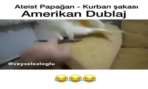 Ateist Papağan - Kurban Şakası