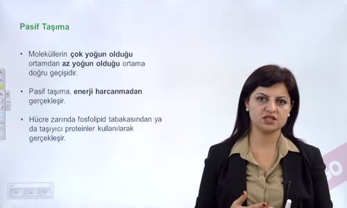 EBA BİYOLOJİ LİSE - CANLILARIN TEMEL BİRİMİ HÜCRE - HÜCRE ZARINDA MADDE ALIŞVERİŞİ DİFÜZYON VE OZMOZ - PASİF TAŞIMA OLAYLARINDA DİFÜZYON