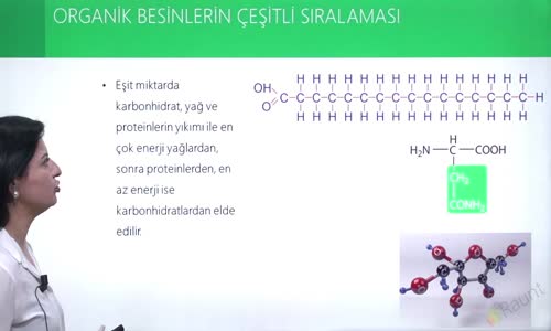 EBA BİYOLOJİ LİSE - CANLILARIN YAPISINDA BULUNAN TEMEL BİLEŞİKLER - PROTEİNLER - ORGANİK BESİNLERİN ÇEŞİTLİ SIRALAMASI