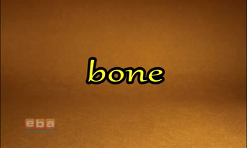 Bone izle - Video - Eğitim Bilişim Ağı