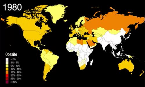 Obezitede Geçtiğimiz 40 Yılda Meydana Gelen Artışı Özetleyen Animasyon Harita_105 milyondan 641 milyona çıktı