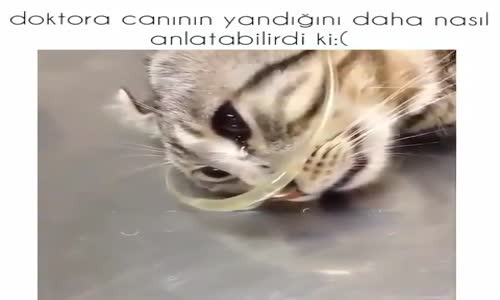 Doktora Canının Yandığını Daha Nasıl Anlatabilir Ki