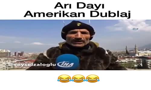 Arı Dayı Amerikan Dublaj