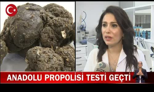 Propolis Koronavirüse Karşı Korur mu- İşte Detaylar