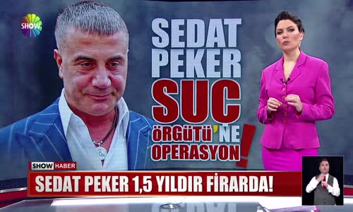 Sedat Peker suç örgütüne operasyon