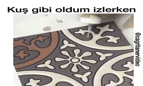 Kuş Gibi Oldum İzlerken