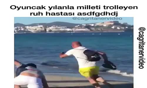 Oyuncak Yılanla Milleti Trolleyen Ruh Hastası