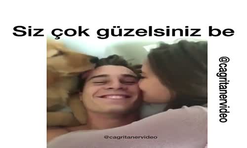 Köpek Ve Kadının Adamı Öperek Uyandırması