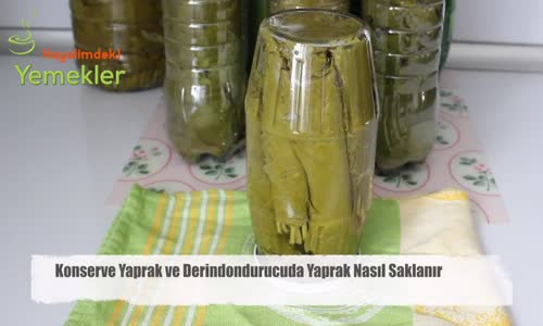 Konserve Asma Yaprağı Saklama Derin Dondurucuda Yaprak Nasıl Saklanır