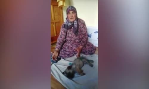 Yavru Köpeğe Yapılan Vicdansızlığa Teyzenin İsyanı