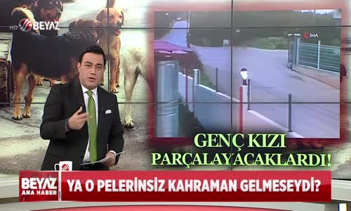 Ya  O Pelerinsiz  Kahraman Gelmeseydi