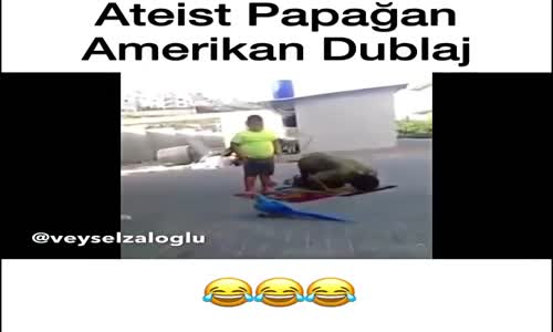  Papağan Amerikan Dublajları