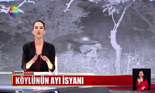 Köylünün ayı isyanı