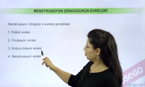 EBA BİYOLOJİ LİSE - ÜREME SİSTEMİ VE EMBRİYONİK GELİŞİM - MENSTRUASYON DÖNGÜSÜ VE EMBRİYONİK GELİŞİM - MENSTRUASYON DÖNGÜSÜ