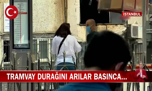 İstanbul Topkapı Mescidi Selam Tramvay Hattındaki Eyüp Sultan Durağını Arılar Bastı! İşte Görüntüler