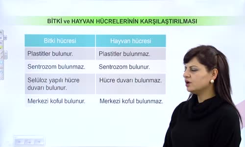 EBA BİYOLOJİ LİSE - CANLILARIN TEMEL BİRİMİ HÜCRE - HÜCRESEL YAPILARIN ÖZELLİKLERİ VE HÜCRELERİN KARŞILAŞTIRILMASI - BİTKİ VE HAYVAN HÜCRELERİNİN KARŞILAŞTIRILMASI