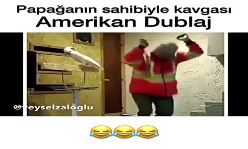 Papağanın Sahibiyle Kavgası - Amerikan Dublaj