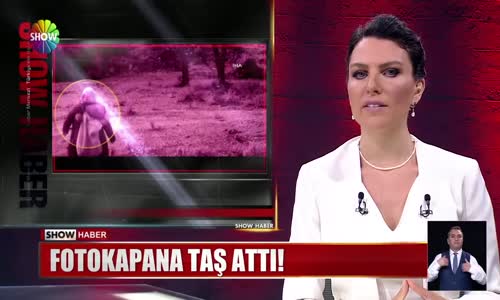 Fotokapana taş attı!