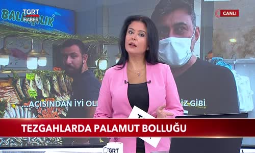 Tezgahlarda Palamut Bolluğu 