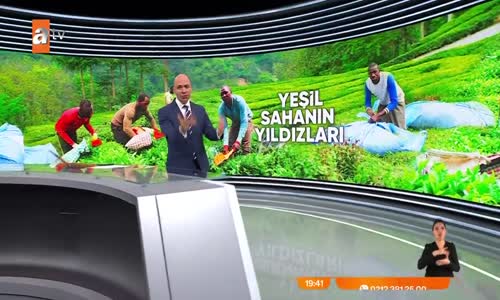 Çay bahçeleri Afrikalılara emanet