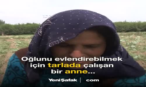 Evlatları İçin Tarlada Çalışan Anne Yürek Burktu