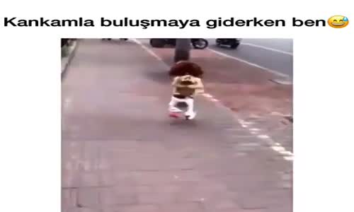 Sevimli Köpeğin Koşuşu