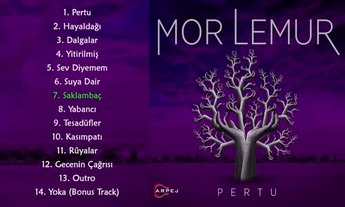 Mor Lemur - Saklambaç