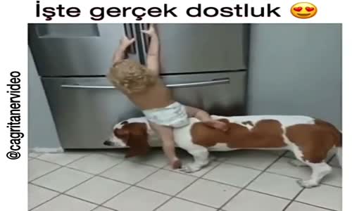 Köpekle Bebeğin Dostluğu