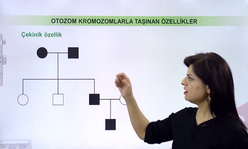 EBA BİYOLOJİ LİSE - KALITIMIN GENEL İLKELERİ - EŞEYE BAĞLI KATILIM II - OTOZOM KROMOZOMLARDA TAŞINAN BİR ÖZELLİĞİN SOYAĞACINDA GÖSTERİMİ