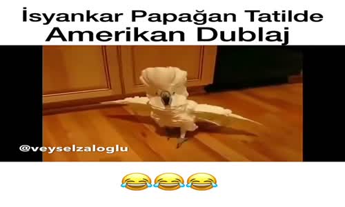 İsyankar Papağan Tatilde - Amerikan Dublaj