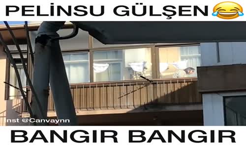 Pelinsunun Bangır Bangır Klibi