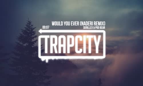 Skrillex & Poo Bear Would You Ever Naderi Remix