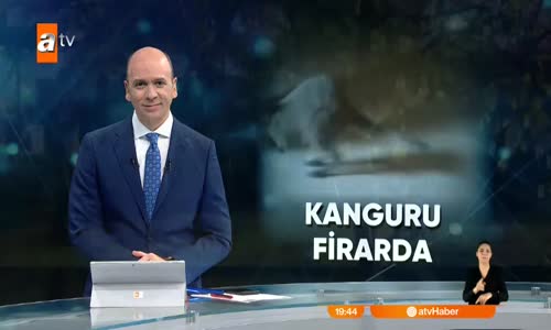 Kanguru yakalama operasyonu! 